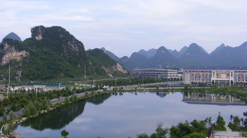 广州芯片批发：揭秘批发报价平台的选品逻辑**